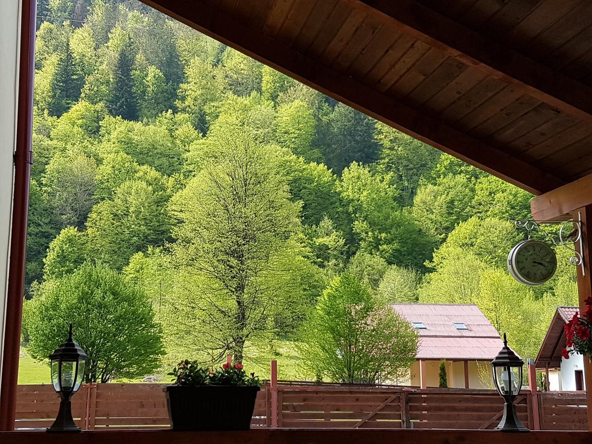 Vila Carmen Cazaci Dış mekan fotoğraf