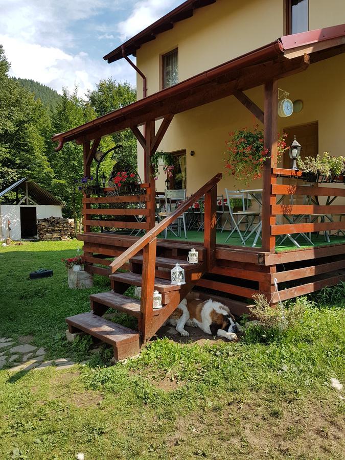 Vila Carmen Cazaci Dış mekan fotoğraf